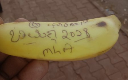 ಶಿರಸಿ ಮಾರಿಕಾಂಬಾ ಜಾತ್ರೆಯಲ್ಲಿ ವಿಶಿಷ್ಟ ಹರಕೆ: ೨೦೨೮ರಲ್ಲೂ ಭೀಮಣ್ಣ ನಾಯ್ಕ್ ಗೆಲುವಿಗಾಗಿ ರಥಕ್ಕೆ ಬಾಳೆಹಣ್ಣು ಎಸೆದ ಭಕ್ತ!