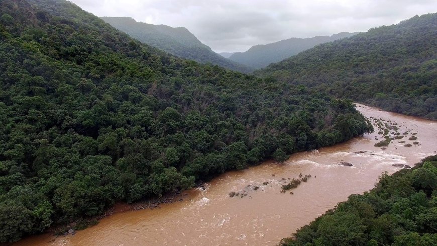 ಬೇಡ್ತಿ–ಗಂಗಾವಳಿ ಜಲಾನಯನ ಪ್ರದೇಶದ ಪರಿಸರ ಬಿಕ್ಕಟ್ಟು:  ನಿಮಗೆಷ್ಟು ಗೊತ್ತು?