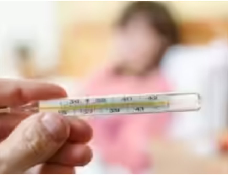 ಮಲೆನಾಡಿನಲ್ಲಿ ಹೆಚ್ಚಿದ ಜ್ವರ, ಸುಸ್ತು, ತಂಡಿ: ಕಾಳಜಿ ವಹಿಸುವಂತೆ ಆರೋಗ್ಯ ಇಲಾಖೆ ಸಲಹೆ