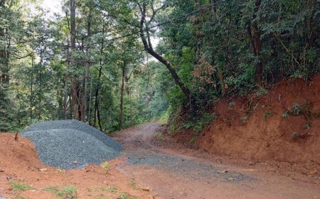 ಪ್ರಯಾಣಿಕರ ಗಮನಕ್ಕೆ: ಶೇವ್ಕಾರ-ಧೋರಣಗಿರಿ (ಶಿರಸಿ-ಗುಳ್ಳಾಪುರ) ರಸ್ತೆ 10 ದಿನ ಬಂದ್; ಪರ್ಯಾಯ ಮಾರ್ಗ ಬಳಸಿ