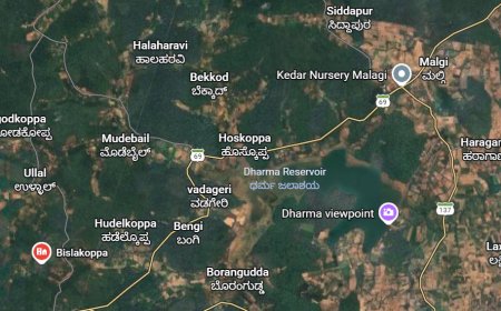 ಬೇಡ್ತಿ-ವರದಾ ನದಿ ಜೋಡಣೆ ಯೋಜನೆಯಿಂದ ಬಿಸಲಕೊಪ್ಪ-ಮಳಗಿ ಗ್ರಾಮಗಳಿಗೆ ಆಗುವ ಹಾನಿ ಎಷ್ಟೆಲ್ಲ ಗೊತ್ತಾ? ಹೊಸ ಡಿಪಿಆರ್‌ ವಿವರ ಇಲ್ಲಿದೆ ನೋಡಿ