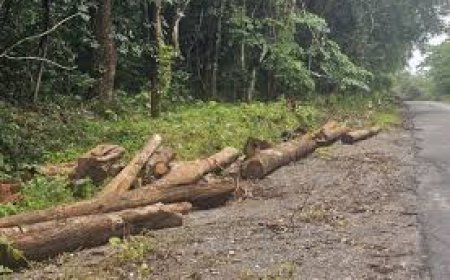 ಬೇಡ್ತಿ-ವರದಾ ನದಿ ಜೋಡಣೆ ಯೋಜನೆ:  NH 766E ಹೆದ್ದಾರಿಯ ಮೇಲೆ ಪ್ರಭಾವ ಬೀರುವ ವಿವರಗಳು