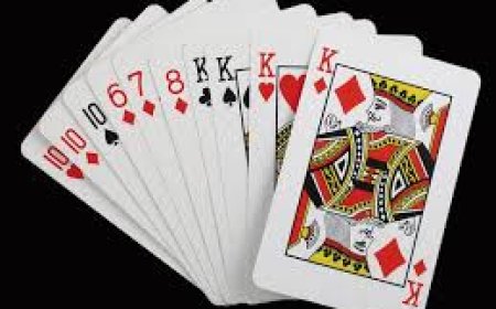 ಎಲೆಮಾನವರ ಕೂಟದ ಮೇಲೆ ಪೊಲೀಸರ ದಾಳಿ; ಮಾಲೀಕ ಪ್ರಕಾಶ್ ಹೆಗಡೆ ಸೇರಿ 20 ಮಂದಿ ವಶಕ್ಕೆ