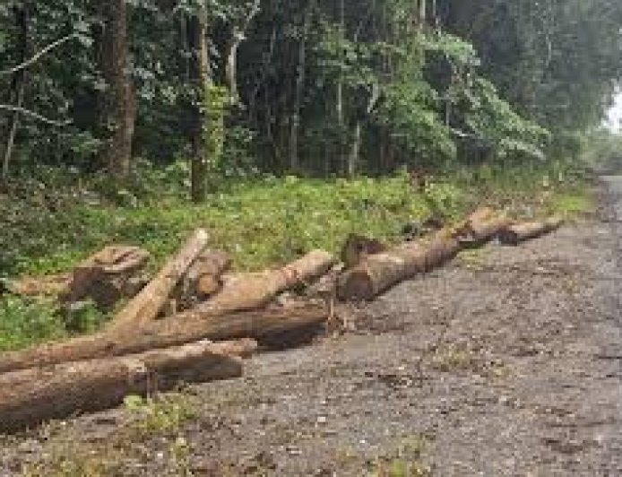 ಬೇಡ್ತಿ-ವರದಾ ನದಿ ಜೋಡಣೆ ಯೋಜನೆ:  NH 766E ಹೆದ್ದಾರಿಯ ಮೇಲೆ ಪ್ರಭಾವ ಬೀರುವ ವಿವರಗಳು