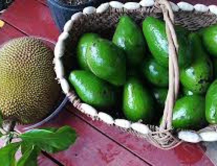 ಹಲಸು vs ಅವಕಾಡೋ — ನಮ್ಮ ಮನೆಯ ಸೂಪರ್‌ಫುಡ್ ಯಾವುದು?