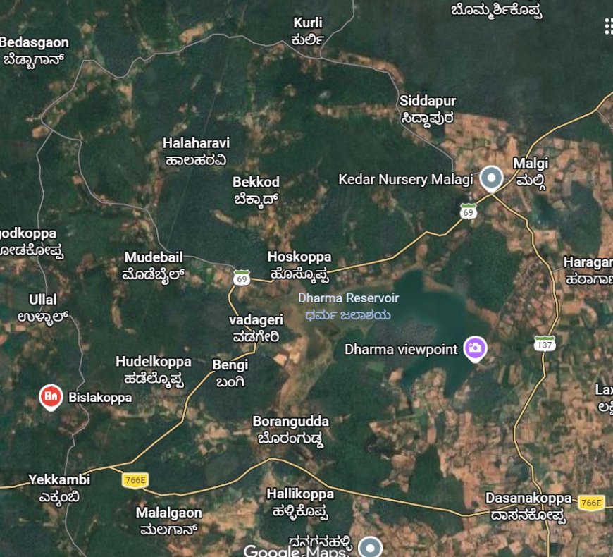 ಬೇಡ್ತಿ-ವರದಾ ನದಿ ಜೋಡಣೆ ಯೋಜನೆಯಿಂದ ಬಿಸಲಕೊಪ್ಪ-ಮಳಗಿ ಗ್ರಾಮಗಳಿಗೆ ಆಗುವ ಹಾನಿ ಎಷ್ಟೆಲ್ಲ ಗೊತ್ತಾ? ಹೊಸ ಡಿಪಿಆರ್‌ ವಿವರ ಇಲ್ಲಿದೆ ನೋಡಿ