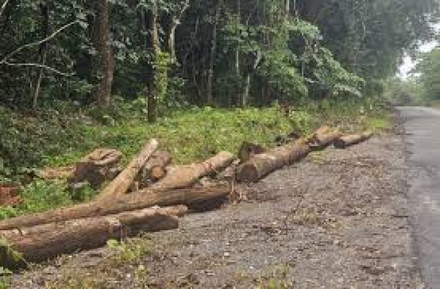 ಬೇಡ್ತಿ-ವರದಾ ನದಿ ಜೋಡಣೆ ಯೋಜನೆ:  NH 766E ಹೆದ್ದಾರಿಯ ಮೇಲೆ ಪ್ರಭಾವ ಬೀರುವ ವಿವರಗಳು