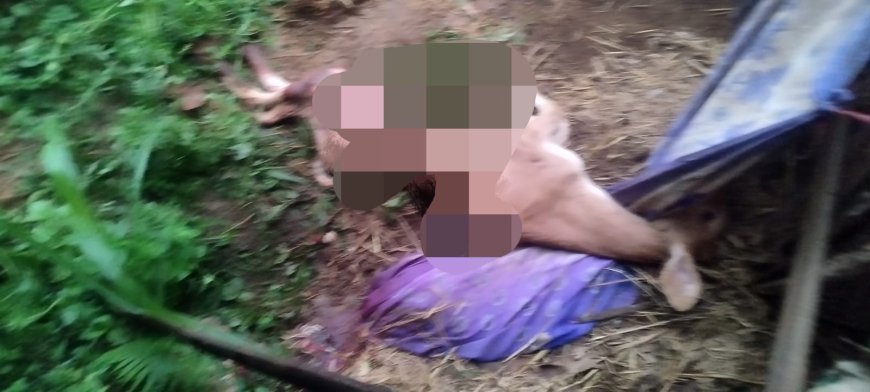 ಹುಲಿ ದಾಳಿಗೆ ಆಕಳು ಕರು ಬಲಿ; ವ್ಯಾಘ್ರನ ಸೆರೆಗೆ ಅರಣ್ಯ ಇಲಾಖೆಗೆ ಗ್ರಾಮಸ್ಥರ ಆಗ್ರಹ