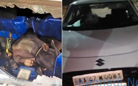  ಸ್ವಿಫ್ಟ್ ಕಾರಿನಲ್ಲಿ ಗೋವು ಕಳ್ಳತನಕ್ಕೆ ಯತ್ನ; ಸಾರ್ವಜನಿಕರ ಸಮಯಪ್ರಜ್ಞೆಗೆ ಹೆದರಿ ವಾಹನ ಬಿಟ್ಟು ಪರಾರಿಯಾದ ಖದೀಮರು!