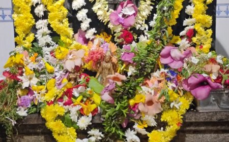 ಆನಗೋಡಿನ ಗೋಪಾಲಕೃಷ್ಣ ದೇವಸ್ಥಾನದ ಅಷ್ಟಬಂಧ ಮಹೊತ್ಸವ ಆರಂಭ