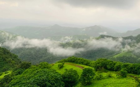 ಪಶ್ಚಿಮ ಘಟ್ಟದ 'ಕಾಳಿ'ಗೆ ಕೇಂದ್ರದ ರಕ್ಷಾ ಕವಚ: 663 ಚದರ ಕಿ.ಮೀ ವ್ಯಾಪ್ತಿ ಇನ್ನು 'ಪರಿಸರ ಸೂಕ್ಷ್ಮ ವಲಯ'!