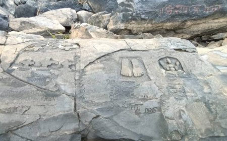 ತಪೋವನದ ಅಸ್ತಿತ್ವಕ್ಕೆ ಧಕ್ಕೆ: ಅಷ್ಠ ಮಠಗಳ ಯತಿವರೇಣ್ಯರಿಗೆ ಶಿರಸಿಯ ವೈದ್ಯರ ನಿವೇದನೆ