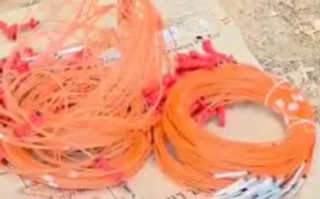 ಹಳಿಯಾಳದಲ್ಲಿ ಬೆಚ್ಚಿಬೀಳಿಸುವ ಘಟನೆ: ಕಲ್ಲು ಕ್ವಾರಿಯಲ್ಲಿ ಅಕ್ರಮ ಸ್ಫೋಟಕಗಳ ಬೇಟೆ, ಬಾಂಬ್ ಸ್ಕ್ವಾಡ್ ಎಂಟ್ರಿ!