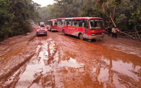 ಶಿರಸಿ-ಹಾವೇರಿ ರಸ್ತೆ ನರಕ ಸದೃಶ: ಮೊದಲ ಮಳೆಗೇ ಬಯಲಾಯ್ತು ಕಾಮಗಾರಿಯ ಅಸಲಿ ಬಣ್ಣ!