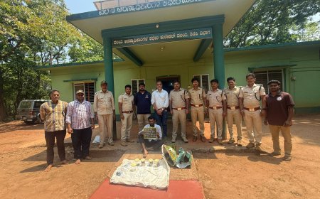 ಅರಣ್ಯ ಇಲಾಖೆಯ 'ಡ್ಯಾಶಿಂಗ್' ಕಾರ್ಯಾಚರಣೆ; ಕಾಡುಕೋಣ ಭೇಟೆಯಾಡಿದ್ದ ಜಾಲ ಪತ್ತೆ, ಓರ್ವ ವಶಕ್ಕೆ!