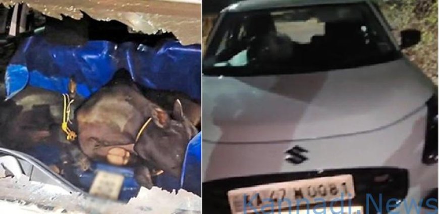  ಸ್ವಿಫ್ಟ್ ಕಾರಿನಲ್ಲಿ ಗೋವು ಕಳ್ಳತನಕ್ಕೆ ಯತ್ನ; ಸಾರ್ವಜನಿಕರ ಸಮಯಪ್ರಜ್ಞೆಗೆ ಹೆದರಿ ವಾಹನ ಬಿಟ್ಟು ಪರಾರಿಯಾದ ಖದೀಮರು!