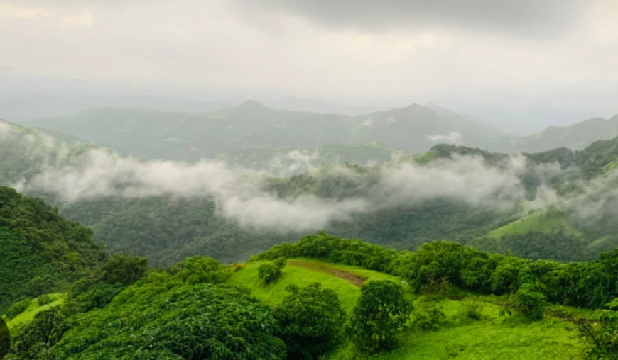 ಪಶ್ಚಿಮ ಘಟ್ಟದ 'ಕಾಳಿ'ಗೆ ಕೇಂದ್ರದ ರಕ್ಷಾ ಕವಚ: 663 ಚದರ ಕಿ.ಮೀ ವ್ಯಾಪ್ತಿ ಇನ್ನು 'ಪರಿಸರ ಸೂಕ್ಷ್ಮ ವಲಯ'!