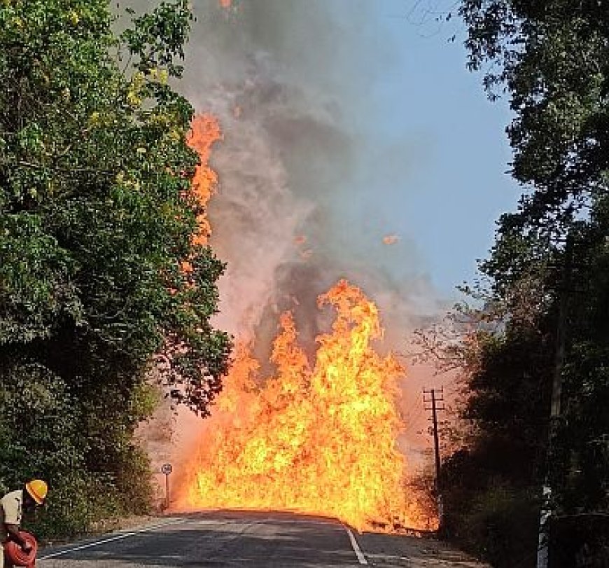 ಅಂಕೋಲಾ ಬಳಿ ಮೈ ನಡುಗಿಸಿದ 'ಅಗ್ನಿಪ್ರಳಯ': ಪೆಟ್ರೋಲ್ ಟ್ಯಾಂಕರ್ ಸ್ಫೋಟಕ್ಕೆ ನಡುಗಿದ ರಾಷ್ಟ್ರೀಯ ಹೆದ್ದಾರಿ!
