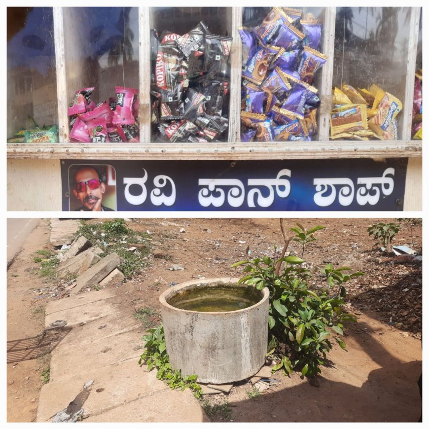 ಬಾಯಾರಿದ ಜೀವಗಳಿಗೆ ‘ರವಿ’ ಕಿರಣ: ಸೋಶಿಯಲ್ ಮೀಡಿಯಾ ಪೋಸ್ಟ್‌ಗಳ ನಡುವೆ ಶಿರಸಿಯ ಈ ಮಾನವೀಯತೆ ಎಲ್ಲರಿಗೂ ಮಾದರಿ!