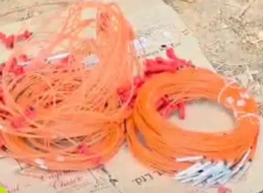 ಹಳಿಯಾಳದಲ್ಲಿ ಬೆಚ್ಚಿಬೀಳಿಸುವ ಘಟನೆ: ಕಲ್ಲು ಕ್ವಾರಿಯಲ್ಲಿ ಅಕ್ರಮ ಸ್ಫೋಟಕಗಳ ಬೇಟೆ, ಬಾಂಬ್ ಸ್ಕ್ವಾಡ್ ಎಂಟ್ರಿ!