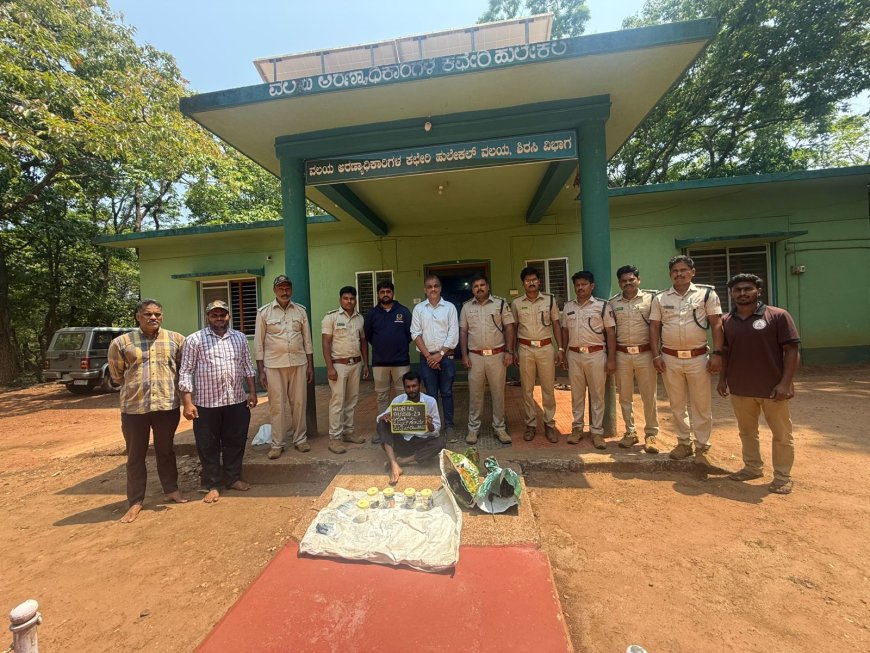 ಅರಣ್ಯ ಇಲಾಖೆಯ 'ಡ್ಯಾಶಿಂಗ್' ಕಾರ್ಯಾಚರಣೆ; ಕಾಡುಕೋಣ ಭೇಟೆಯಾಡಿದ್ದ ಜಾಲ ಪತ್ತೆ, ಓರ್ವ ವಶಕ್ಕೆ!