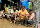 ನಿರ್ಮಾಣ ಹಂತದ ಕಟ್ಟಡದಲ್ಲಿ ಆತಂಕ: ಸೆಂಟ್ರಿಂಗ್ ಹಲಿಗೆಯಡಿ ಸಿಲುಕಿ ಒದ್ದಾಡುತ್ತಿದ್ದ ಬೃಹತ್ ನಾಗರಹಾವಿನ ಯಶಸ್ವಿ ರಕ್ಷಣೆ