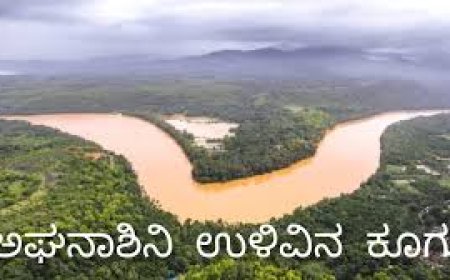 ಸಿದ್ದಾಪುರದಲ್ಲಿ ಮೇ. ೧೫ ರಂದು ಅರಣ್ಯವಾಸಿ ಮತ್ತು ಅಘನಾಶಿನಿ ನದಿ ಜೋಡಣೆ ವಿರೋಧ ಸಭೆ