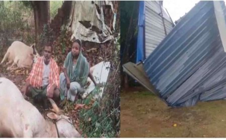 ಸಿಡಿಲಬ್ಬರದ ಆರ್ಭಟ: ಹಳಿಯಾಳದಲ್ಲಿ ಘೋರ ದುರಂತ, ಮೂರು ಜಾನುವಾರುಗಳು ಬಲಿ; ಶಾಲೆಯ ಮೇಲ್ಚಾವಣಿ ಫೀಸ್ ಫೀಸ್!