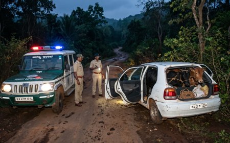 ಖದೀಮರ ಕಾರಿಗೆ 'ಅರಣ್ಯ ಇಲಾಖೆ' ಜೀಪ್ ಅಡ್ಡ: ಜೀವಭಯದಲ್ಲಿ 5 ಮೂಕಜೀವಿಗಳನ್ನು ಬಿಟ್ಟು ಪರಾರಿಯಾದ ಕಟುಕರು!