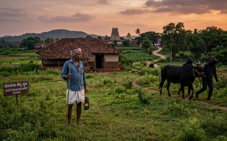 ಕಾವಲಿಗೆ ಕಣ್ಣಿಟ್ಟ ಕಳ್ಳರು: ಬನವಾಸಿಯಲ್ಲಿ 50 ಸಾವಿರ ರೂ. ಮೌಲ್ಯದ ಆಕಳು ಕಳವು!