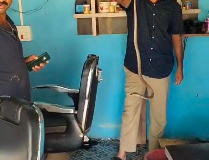 ಕಟಿಂಗ್ ಮಾಡಿಸಿಕೊಳ್ಳಲು ಬಂದವರಿಗೆ ಕಾದಿತ್ತು ಶಾಕ್! ಸೆಲೂನ್‌ಗೆ ಎಂಟ್ರಿ ಕೊಟ್ಟ ನಾಗರಹಾವು