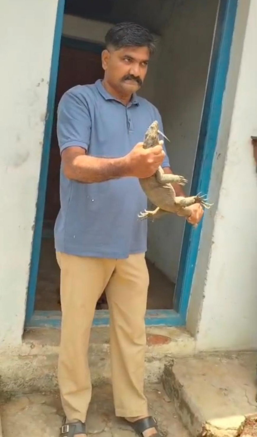 ಕಾತುರ ಶ್ರೀ ಮಾರಿಕಾಂಬಾ ದೇವಸ್ಥಾನದ ಬಳಿ ಪ್ರತ್ಯಕ್ಷವಾದ ಬೃಹತ್ 'ಉಡ': ಅರಣ್ಯ ಇಲಾಖೆಯ ಮಿಂಚಿನ ಕಾರ್ಯಾಚರಣೆ, ಯಶಸ್ವಿ ರಕ್ಷಣೆ