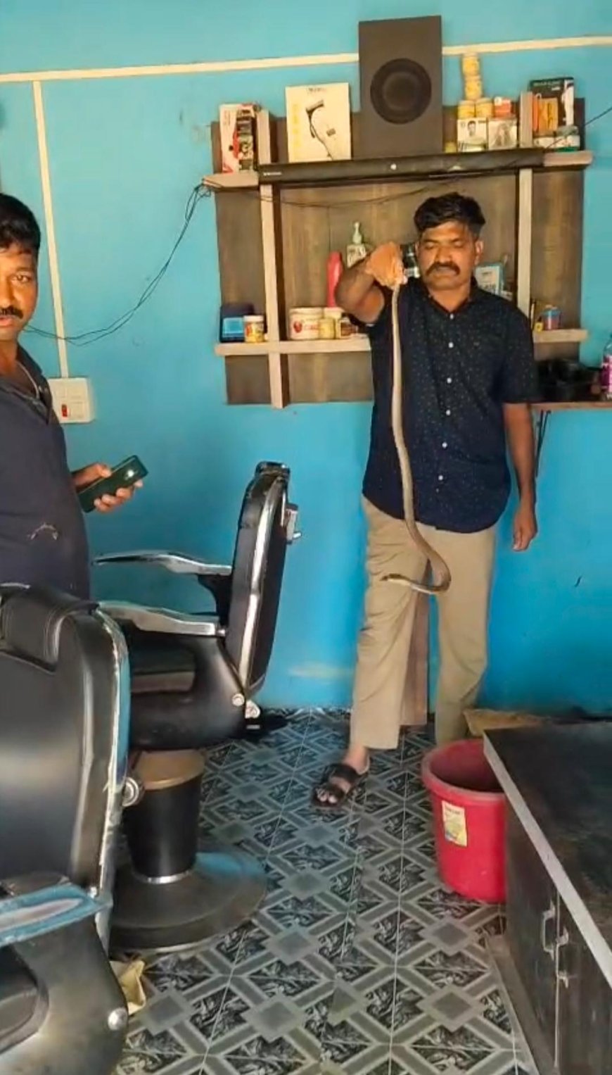 ಕಟಿಂಗ್ ಮಾಡಿಸಿಕೊಳ್ಳಲು ಬಂದವರಿಗೆ ಕಾದಿತ್ತು ಶಾಕ್! ಸೆಲೂನ್‌ಗೆ ಎಂಟ್ರಿ ಕೊಟ್ಟ ನಾಗರಹಾವು