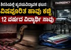 ಶಿರಸಿಯಲ್ಲಿ ಹೃದಯವಿದ್ರಾವಕ ಘಟನೆ: ವಿಷಪೂರಿತ ಹಾವು ಕಚ್ಚಿ 12 ವರ್ಷದ ವಿದ್ಯಾರ್ಥಿ ಸಾವು; ಸಹೋದರಿಗೆ ಚಿಕಿತ್ಸೆ
