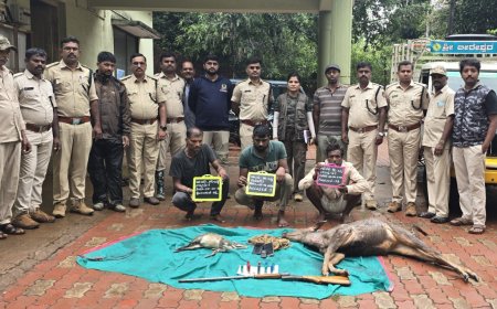 ವನ್ಯಜೀವಿಗಳ ನೆತ್ತರು ಹರಿಸಿದ ಬೇಟೆಗಾರರು: ಕಡವೆ, ಬರ್ಕ ಬೇಟೆಯಾಡಿ ಸಾಗಿಸುತ್ತಿದ್ದ ಮೂವರು ಅರಣ್ಯಾಧಿಕಾರಿಗಳ ಬಲೆಗೆ