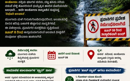 ಮುಂಗಾರಿನ ಅಬ್ಬರ: ಪ್ರಕೃತಿ ಪ್ರಿಯರ ನೆಚ್ಚಿನ 'ವಿಭೂತಿ ಜಲಪಾತ'ಕ್ಕೆ ತಾತ್ಕಾಲಿಕ ಬ್ರೇಕ್!