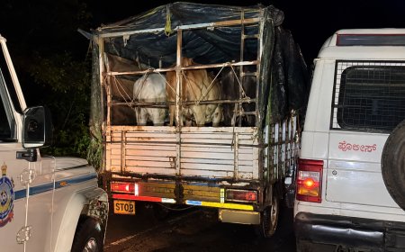 ಬೆಳಗಿನ ಜಾವ ಜಾನುವಾರುಗಳ ಹಿಂಸಾತ್ಮಕ ಸಾಗಣೆ ಪತ್ತೆ: ವಾಹನ ಹಿಡಿದು ಪೊಲೀಸರಿಗೆ ಒಪ್ಪಿಸಿದ ಸಾರ್ವಜನಿಕರು