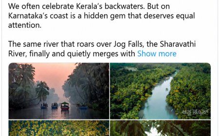 “ಕೇರಳದ ಹಿನ್ನೀರಿಗಿಂತ ಕಡಿಮೆಯಿಲ್ಲ, ಇದು ಪ್ರಕೃತಿಯ ಮಾಯಾಲೋಕ” ಎಂದ ಉದ್ಯಮಿ