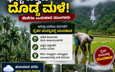 ಘಟ್ಟ ಹತ್ತಿದ ಮುಂಗಾರು ಜೋರು:  ಬಿರುಸಾದ ಆರಿದ್ರಾ ಮಳೆ: ರೈತರ ಮುಖದಲ್ಲಿ ಮಂದಹಾಸ