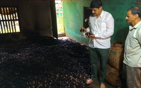 ಅಗ್ನಿ ಅವಘಡದಲ್ಲಿ ಲಕ್ಷಾಂತರ ರೂ. ಮೌಲ್ಯದ ಅಡಿಕೆ ಭಸ್ಮ: ಬೆಳೆಗಾರರಿಗೆ ವಿಶೇಷ ಪರಿಹಾರ ನೀಡುವಂತೆ ಸರ್ಕಾರಕ್ಕೆ ಅನಂತಮೂರ್ತಿ ಹೆಗಡೆ ಆಗ್ರಹ