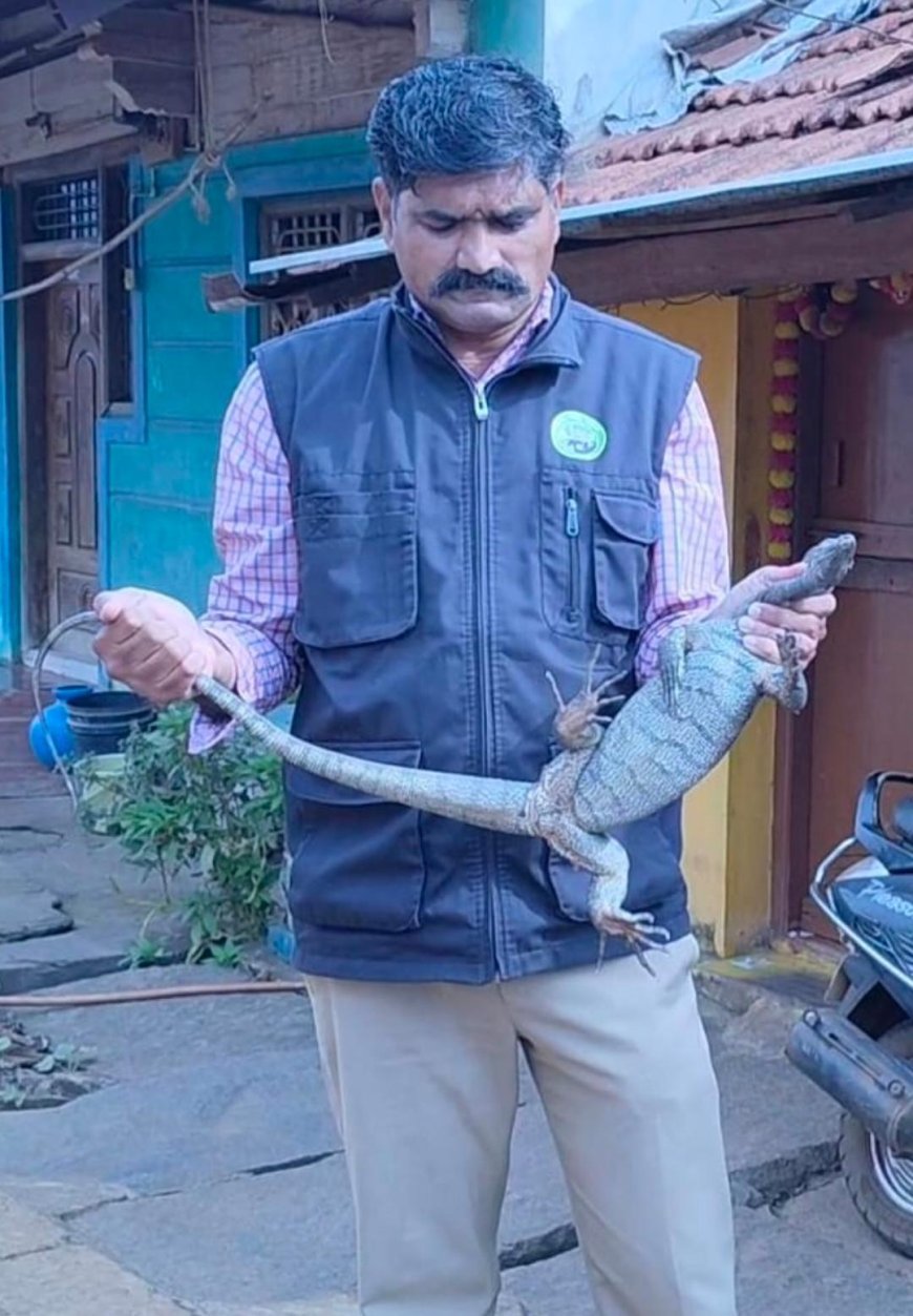 ಅಡಿಗೆ ಕೋಣೆಗೆ ನುಗ್ಗಿದ್ದ ಬೃಹತ್ ಉಡ ರಕ್ಷಣೆ: ಅರಣ್ಯ ಇಲಾಖೆ ಕಾರ್ಯಾಚರಣೆಗೆ ಗ್ರಾಮಸ್ಥರ ಮೆಚ್ಚುಗೆ