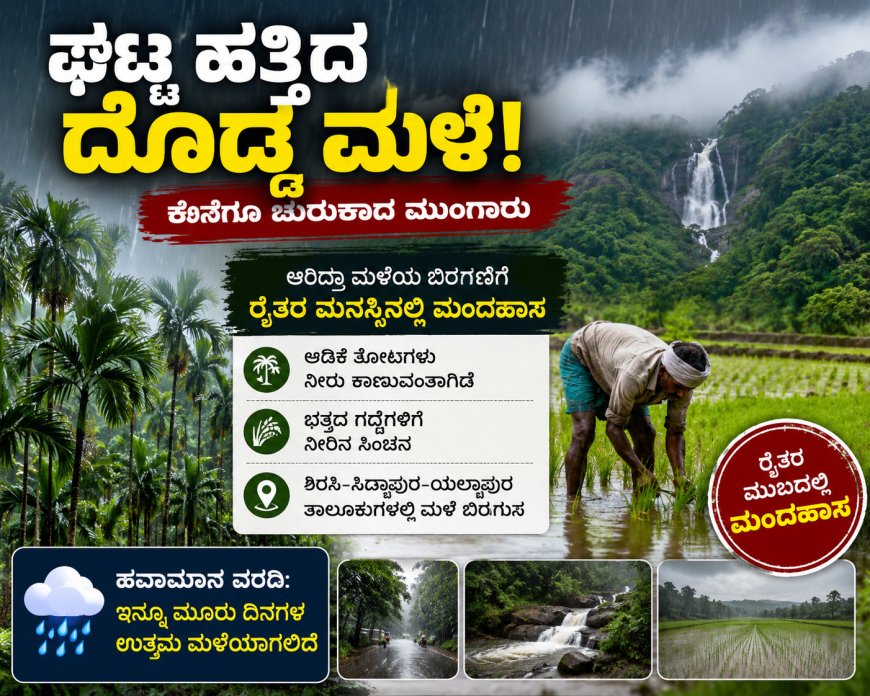 ಘಟ್ಟ ಹತ್ತಿದ ಮುಂಗಾರು ಜೋರು:  ಬಿರುಸಾದ ಆರಿದ್ರಾ ಮಳೆ: ರೈತರ ಮುಖದಲ್ಲಿ ಮಂದಹಾಸ