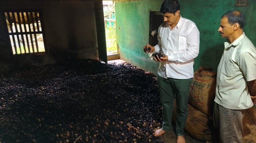 ಅಗ್ನಿ ಅವಘಡದಲ್ಲಿ ಲಕ್ಷಾಂತರ ರೂ. ಮೌಲ್ಯದ ಅಡಿಕೆ ಭಸ್ಮ: ಬೆಳೆಗಾರರಿಗೆ ವಿಶೇಷ ಪರಿಹಾರ ನೀಡುವಂತೆ ಸರ್ಕಾರಕ್ಕೆ ಅನಂತಮೂರ್ತಿ ಹೆಗಡೆ ಆಗ್ರಹ