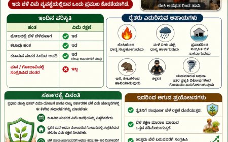 ಬೆಳೆ ವಿಮೆಯಲ್ಲಿ ಪ್ರಮುಖ ಸುಧಾರಣೆ ಅಗತ್ಯ