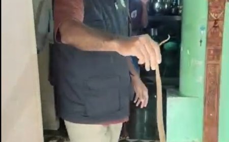 ದೇವರ ಕೋಣೆಗೆ ಬಂದ ನಾಗರಹಾವು: ಅರಣ್ಯ ಇಲಾಖೆ ಕ್ಷಿಪ್ರ ಕಾರ್ಯಾಚರಣೆ, ಸುರಕ್ಷಿತವಾಗಿ ಕಾಡಿಗೆ ವಾಪಾಸ್