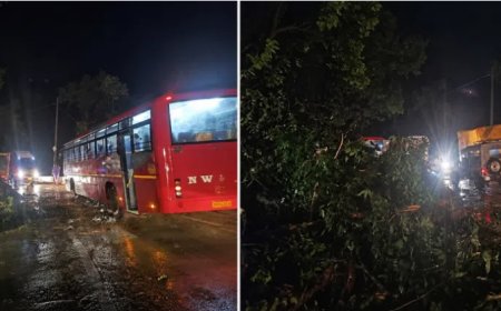 ದೇವಿಮನೆ ಘಟ್ಟದಲ್ಲಿ ಗುಡ್ಡ ಕುಸಿತ, ಬುಡಸಮೇತ ಉರುಳಿದ ಬೃಹತ್ ಮರ – ಹಾರವಾಡದಲ್ಲಿ ಕಡಲ ಕೊರೆತ ಆರಂಭ: ಮುಂಗಾರು ಅಬ್ಬರಕ್ಕೆ ಉತ್ತರ ಕನ್ನಡ ತತ್ತರ