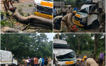 ಶಿರಸಿ ಬಿಸಿಲಕೊಪ್ಪ ಬಳಿ ಚಲಿಸುತ್ತಿದ್ದ ವಾಹನದ ಮೇಲೆ ಬಿದ್ದ ಮರ: ಚಾಲಕ ಅಪಾಯದಿಂದ ಪಾರು, ಅರಣ್ಯ ಹಾಗೂ ಅಗ್ನಿಶಾಮಕ ಸಿಬ್ಬಂದಿಯಿಂದ ತ್ವರಿತ ಕಾರ್ಯಾಚರಣೆ