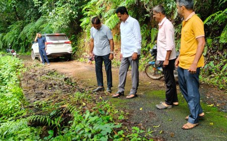 ಎರಡು ವರ್ಷಗಳ ಹಿಂದೆ ಕುಸಿದ ರಸ್ತೆ ದುರಸ್ತಿಗೆ ಒತ್ತಾಯ: ಶಾಸಕ ಭೀಮಣ್ಣ ನಾಯ್ಕ್‌ಗೆ ಶೇಡಿ ದಂಟಕಲ್ ಗ್ರಾಮಸ್ಥರ ಮನವಿ