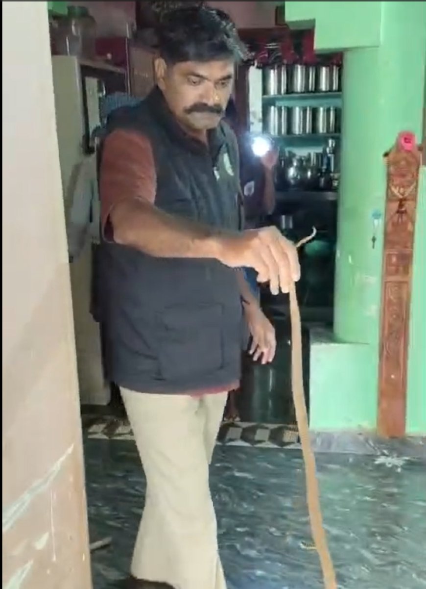 ದೇವರ ಕೋಣೆಗೆ ಬಂದ ನಾಗರಹಾವು: ಅರಣ್ಯ ಇಲಾಖೆ ಕ್ಷಿಪ್ರ ಕಾರ್ಯಾಚರಣೆ, ಸುರಕ್ಷಿತವಾಗಿ ಕಾಡಿಗೆ ವಾಪಾಸ್