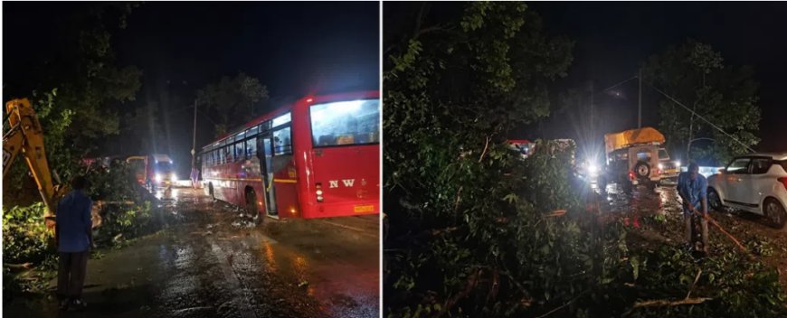 ದೇವಿಮನೆ ಘಟ್ಟದಲ್ಲಿ ಗುಡ್ಡ ಕುಸಿತ, ಬುಡಸಮೇತ ಉರುಳಿದ ಬೃಹತ್ ಮರ – ಹಾರವಾಡದಲ್ಲಿ ಕಡಲ ಕೊರೆತ ಆರಂಭ: ಮುಂಗಾರು ಅಬ್ಬರಕ್ಕೆ ಉತ್ತರ ಕನ್ನಡ ತತ್ತರ